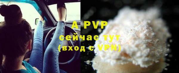 стаф Белоозёрский