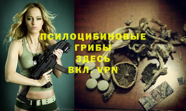 стаф Белоозёрский