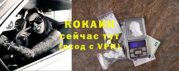 PSILOCYBIN Беломорск