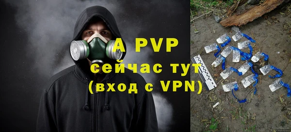 стаф Белоозёрский