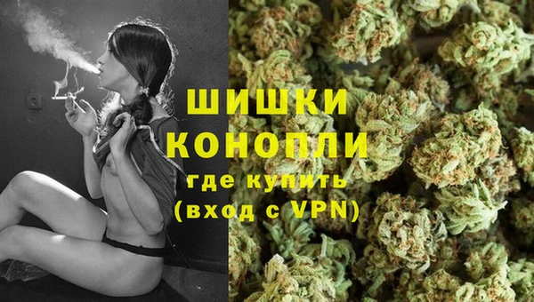 PSILOCYBIN Беломорск